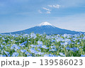 春のネモフィラと富士山と青い空 139586023