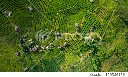 Aerial top view of Rice terraces at Papongpieng Chiang Mai Aerial top view of Rice terraces at Papongpieng Chiang Mai 139586156