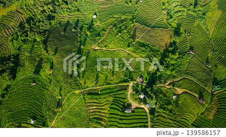Aerial top view of Rice terraces at Papongpieng Chiang Mai 139586157