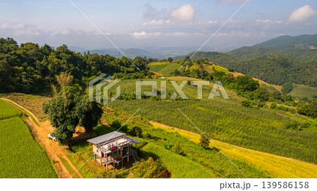 Panoramic View of Thailand Most Beautiful Rice Terraces 139586158