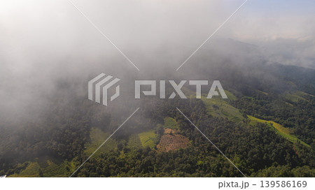 Beautiful Layered Rice Fields at Pa Bong Piang Village 139586169