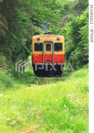 山間部を走るキハ列車　小湊鐵道 139586316