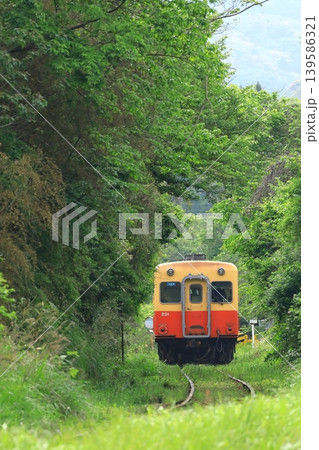 山間部を走るキハ列車　小湊鐵道 139586321