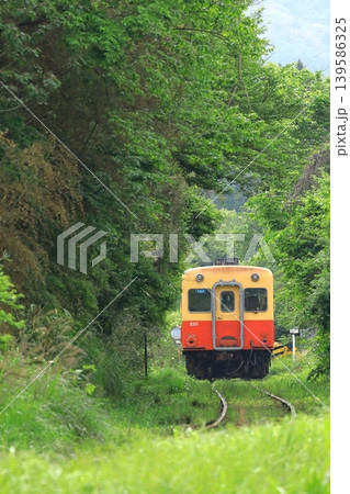 山間部を走るキハ列車　小湊鐵道 139586325