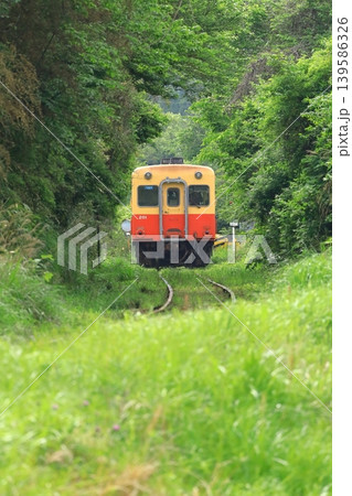 山間部を走るキハ列車 小湊鐵道 山間部を走るキハ列車 小湊鐵道 139586326