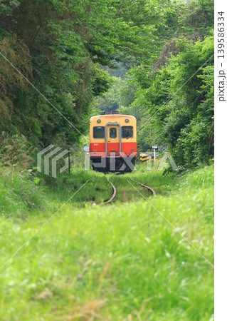 山間部を走るキハ列車　小湊鐵道 139586334