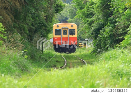 山間部を走るキハ列車　小湊鐵道 139586335