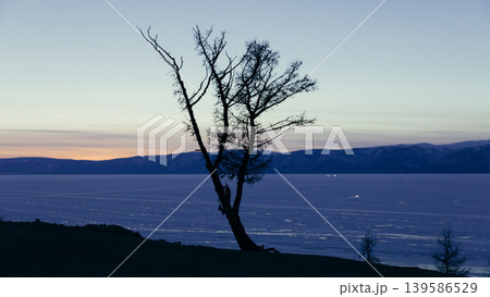 Lone tree silhouette at sunset on Olkhon Island shore of Lake Baikal, Russia Lone tree silhouette at sunset on Olkhon Island shore of Lake Baikal, Russia 139586529