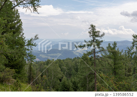 Mountain trail viewpoint near Manzherok Mountain with forested Altai hills Mountain trail viewpoint near Manzherok Mountain with forested Altai hills 139586552