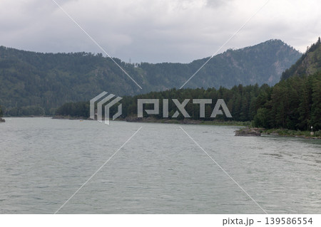 Mountain river landscape in Altai with forested hills under cloudy sky 139586554