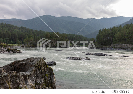 Katun River rapids with rocky shore and forested Altai Mountains landscape Katun River rapids with rocky shore and forested Altai Mountains landscape 139586557