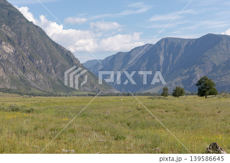 Scenic Chulyshman Valley meadow with mountain ridges and summer sky, Altai Scenic Chulyshman Valley meadow with mountain ridges and summer sky, Altai 139586645