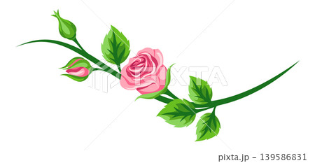 Decorative element with roses. Beautiful realistic flowers, buds and leaves. Decorative element with roses. Beautiful realistic flowers, buds and leaves. 139586831