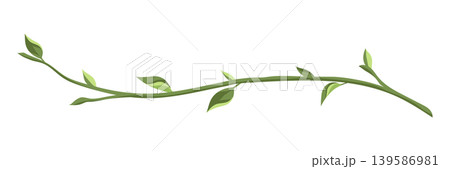 Illustration branch with leaves. Spring young foliage. 139586981