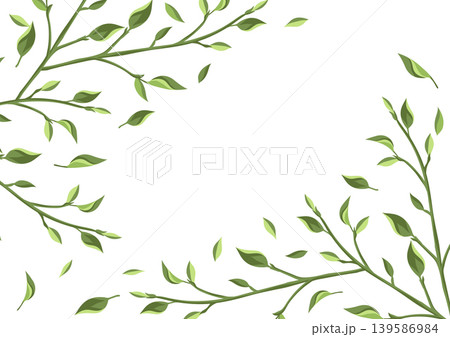 Background with leaves. Spring or summer stylized foliage. 139586984