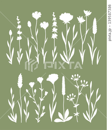Botanical floral bundle flowers, wildflowers, herb, grasses and plants Botanical floral bundle flowers, wildflowers, herb, grasses and plants 139587386