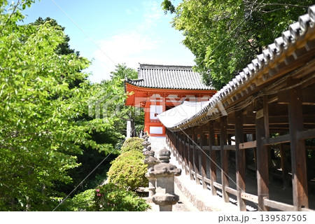 新緑に囲まれた日本の寺院と朱色の堂宇 新緑に囲まれた日本の寺院と朱色の堂宇 139587505