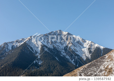 Snowy mountain peak and pine forest in Barskoon Gorge, Kyrgyzstan landscape 139587592