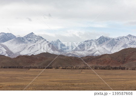 Snowy Tian Shan mountains and dry steppe landscape panorama in Kyrgyzstan Snowy Tian Shan mountains and dry steppe landscape panorama in Kyrgyzstan 139587608
