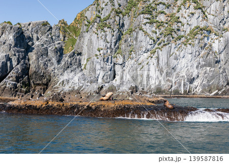 Sea lions resting on rocky shore at Starichkov Island near Kamchatka Peninsula Sea lions resting on rocky shore at Starichkov Island near Kamchatka Peninsula 139587816