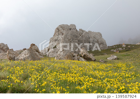 Wildflower meadow and rocky trail on Mount Shalbuzdag in Dagestan mountains 139587924