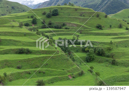 Chokh terraces green mountain hills and traditional farmland landscape in Dagestan Chokh terraces green mountain hills and traditional farmland landscape in Dagestan 139587947