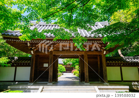 東京都 杉並区 観泉寺(かんせんじ) 山門 今川氏真の開基 曹洞宗 都旧跡 東京都 杉並区 観泉寺(かんせんじ) 山門 今川氏真の開基 曹洞宗 都旧跡 139588032