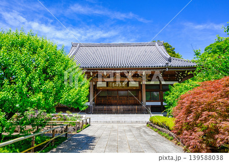 東京都　杉並区　観泉寺（かんせんじ）　本堂　今川氏真の開基　曹洞宗　都旧跡 139588038
