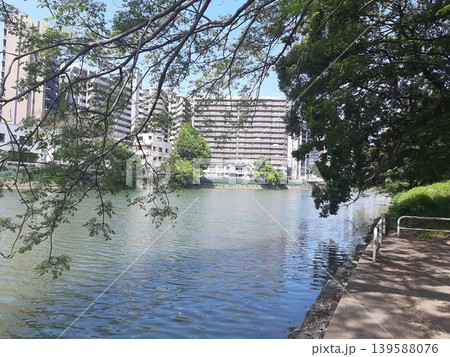 公園の池のある風景 公園の池のある風景 139588076