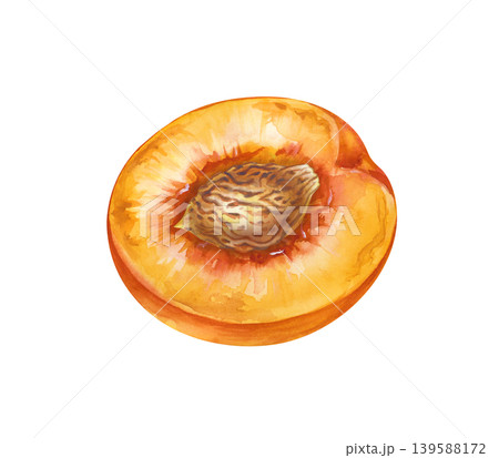 Watercolor illustration of peach halves with a stone, fresh nectarine fruit on an isolated background. For organic food branding, smoothie recipe books, kitchen decor, fruit market signage, and Watercolor illustration of peach halves with a stone, fresh nectarine fruit on an isolated background. For organic food branding, smoothie recipe books, kitchen decor, fruit market signage, and 139588172