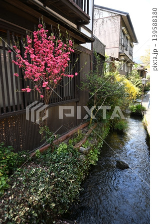 郡上八幡の町なみ 139588180