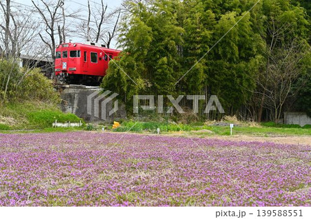 名鉄広見線 6000系電車6012編成とホトケノザ 名鉄広見線 6000系電車6012編成とホトケノザ 139588551
