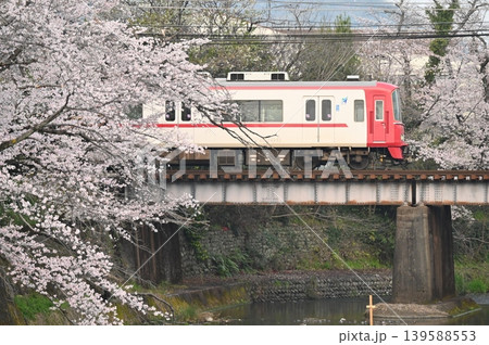 名鉄犬山線桜満開の郷瀬川を渡る 名鉄犬山線桜満開の郷瀬川を渡る 139588553