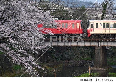 名鉄犬山線桜満開の郷瀬川を渡る 139588555