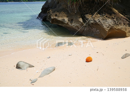 沖縄県_西表島_網取湾 沖縄県_西表島_網取湾 139588938