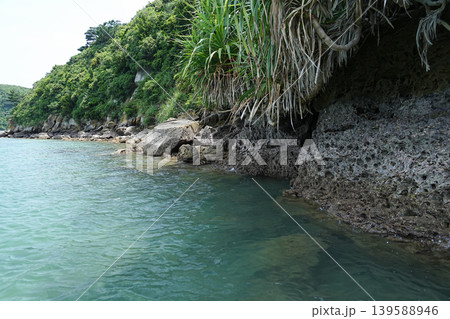 沖縄県_西表島_網取湾 沖縄県_西表島_網取湾 139588946