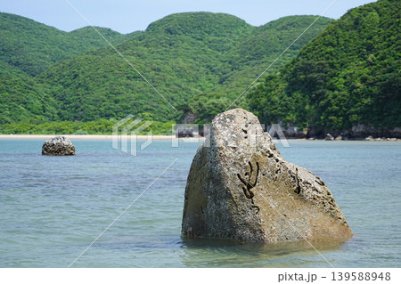 沖縄県_西表島_網取湾 沖縄県_西表島_網取湾 139588948