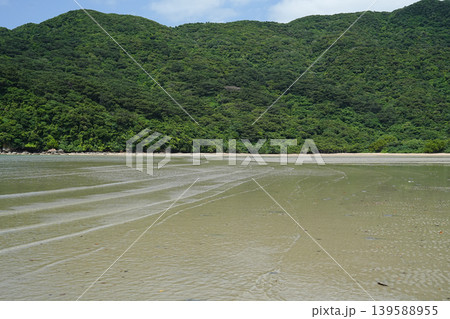沖縄県_西表島_網取湾_ウダラ川河口 沖縄県_西表島_網取湾_ウダラ川河口 139588955