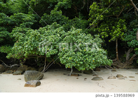 沖縄県_西表島_網取湾 139588969