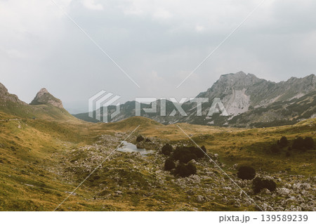 Mountain landscape with alpine meadow and small lake in Durmitor National Park Mountain landscape with alpine meadow and small lake in Durmitor National Park 139589239
