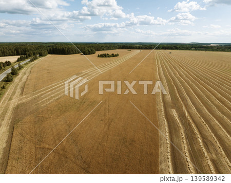 Aerial view of harvested grain field and forest edge in the Ural region landscape 139589342