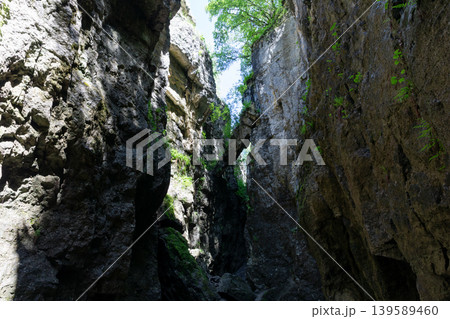 Sunlit rock canyon at Matlas caves with steep cliffs and green trees overhead Sunlit rock canyon at Matlas caves with steep cliffs and green trees overhead 139589460