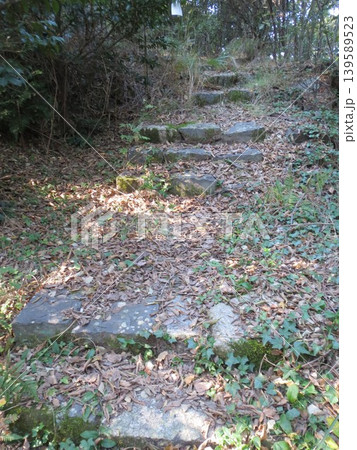 2014年・香川・観音寺・八幡・風景・神社・琴引八幡宮・其の九十七 2014年・香川・観音寺・八幡・風景・神社・琴引八幡宮・其の九十七 139589523