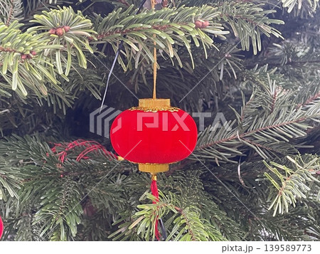 Lunar new year red lantern hanging on green fir tree branch for festive decoration 139589773