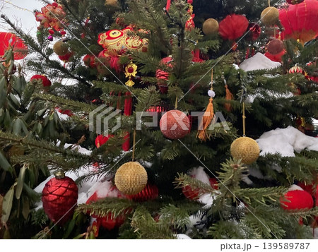 Festive Chinese New Year decorations on snow-covered tree branches for holiday celebration 139589787