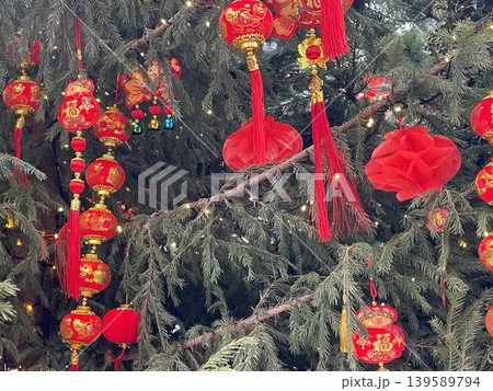 Chinese New Year lanterns hanging on a tree adorned with lights and red decorations Chinese New Year lanterns hanging on a tree adorned with lights and red decorations 139589794