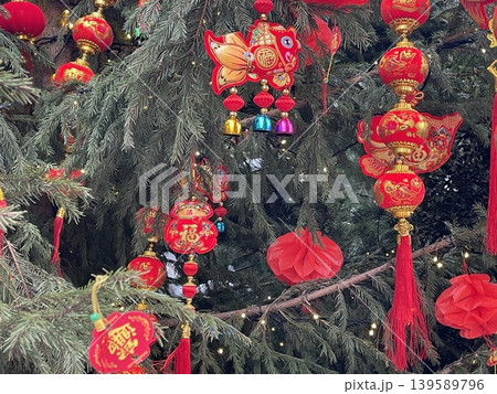 Chinese New Year decorations with red lanterns and gold fish ornaments on tree branches 139589796