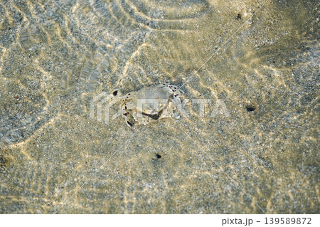 沖縄県_西表島_船浮湾_ユナラ川河口 139589872