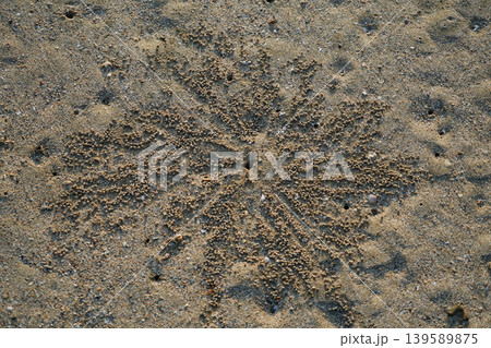 沖縄県_西表島_船浮湾_ユナラ川河口 沖縄県_西表島_船浮湾_ユナラ川河口 139589875