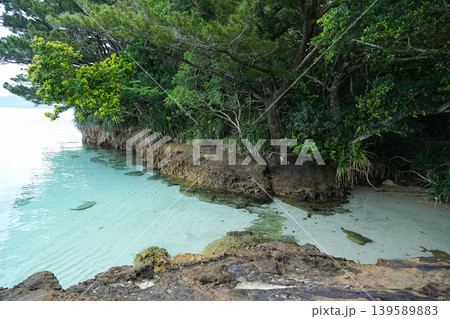 沖縄県_西表島_船浮湾 沖縄県_西表島_船浮湾 139589883